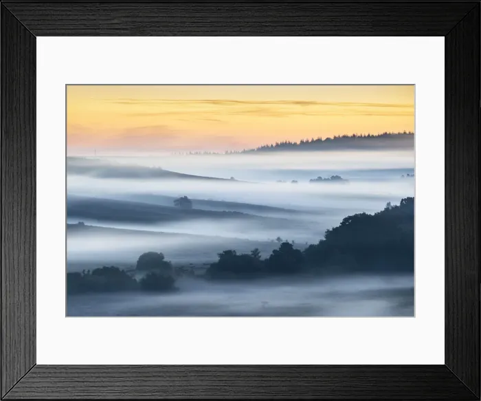 Framed Print : Mist at Rockford Common at sunrise, New Forest National Park, Hampshire, England, UK