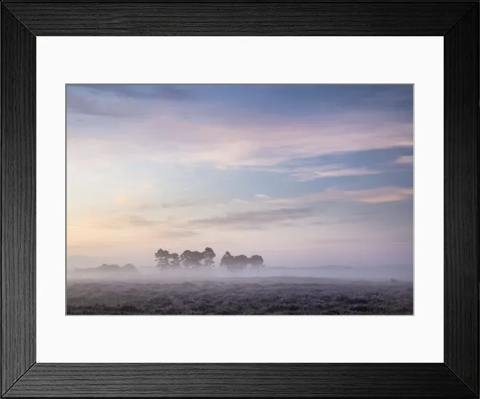 Framed Print : Dawn over Ocknell Plain, New Forest National Park, Hampshire, England, UK Framed Print : Dawn over Ocknell Plain, New Forest National Park, Hampshire, England, UK