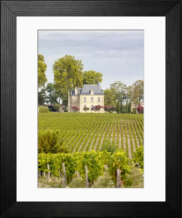 Framed Print : France, Nouvelle-Aquitaine, Gironde, Medoc, Chateau Pichon Longueville Comtesse de Framed Print : France, Nouvelle-Aquitaine, Gironde, Medoc, Chateau Pichon Longueville Comtesse de