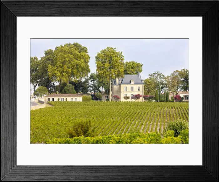 Framed Print : France, Nouvelle-Aquitaine, Gironde, Medoc, Chateau Pichon Longueville Comtesse de Framed Print : France, Nouvelle-Aquitaine, Gironde, Medoc, Chateau Pichon Longueville Comtesse de