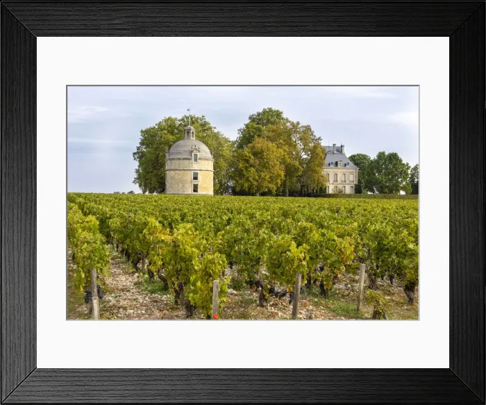 Framed Print : France, Nouvelle-Aquitaine, Gironde, Medoc, Chateau Latour and vineyard Framed Print : France, Nouvelle-Aquitaine, Gironde, Medoc, Chateau Latour and vineyard