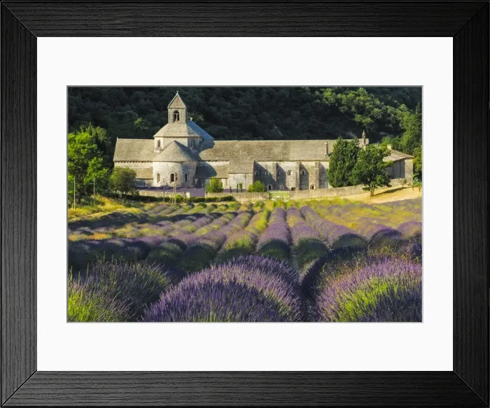 Framed Print : Abbey de Senanque and Lavender fields near Gordes, Vaucluse, Provence, France