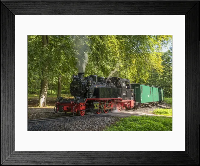 Framed Print : The historical Rugensche Baderbahn steam train called Rasender Roland, Rugen, Germany Framed Print : The historical Rugensche Baderbahn steam train called Rasender Roland, Rugen, Germany