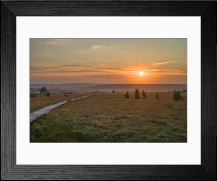 Framed Print : Sunrise at Wallonia Venn, High Venn, Ardennes, Province Liege, Belgium Framed Print : Sunrise at Wallonia Venn, High Venn, Ardennes, Province Liege, Belgium