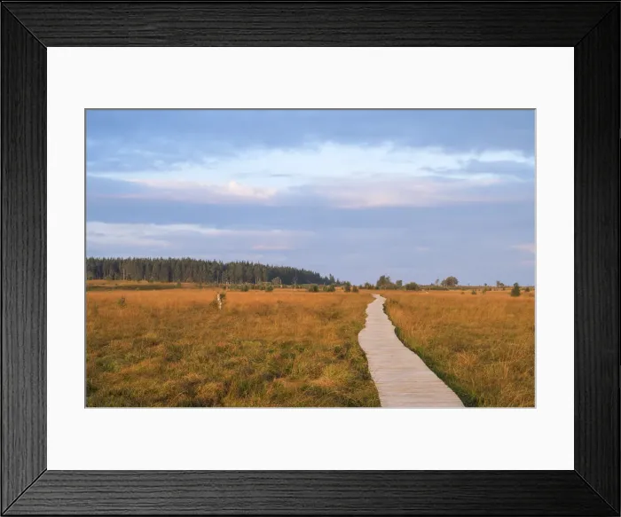 Framed Print : Morning at Wallonia Venn, High Venn, Ardennes, Province Liege, Belgium Framed Print : Morning at Wallonia Venn, High Venn, Ardennes, Province Liege, Belgium