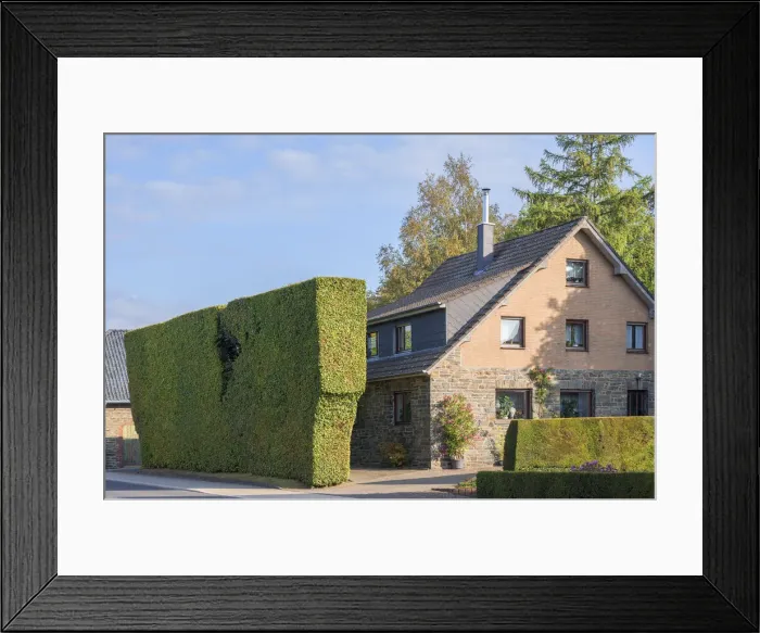 Framed Print : House with typical Venn hedge at Kalterherberg, Monschau, Eifel, North Rhine Westphalia