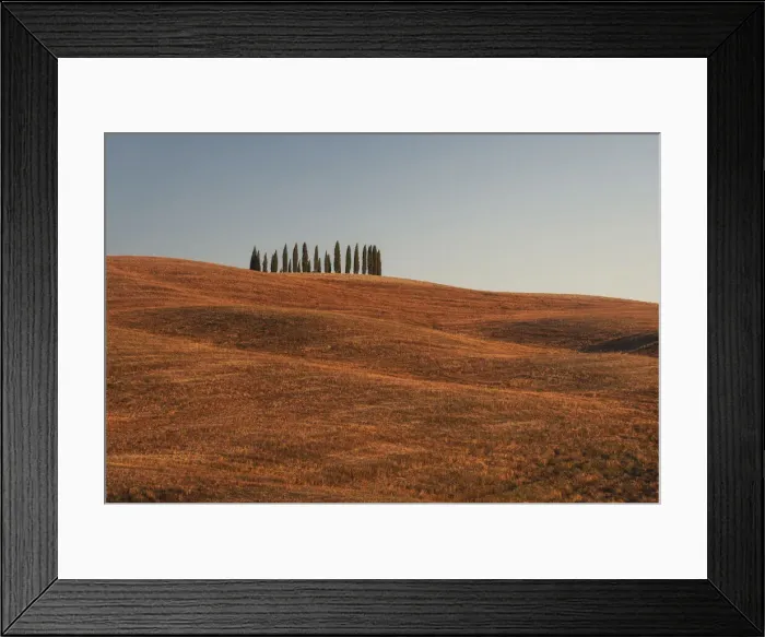Framed Print : Val d Orcia Luglio Tuscany, Italy Framed Print : Val d Orcia Luglio Tuscany, Italy