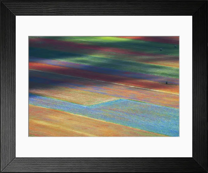 Framed Print : Wild flowers growing in colourful strips Appennines, Italy