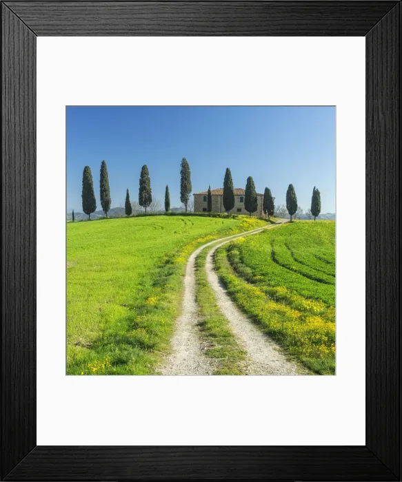 Framed Print : Tuscan farmhouse and cypress trees in the Val d Orcia, near Pienza, Tuscany, Italy Framed Print : Tuscan farmhouse and cypress trees in the Val d Orcia, near Pienza, Tuscany, Italy
