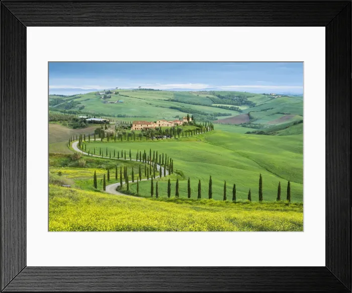 Framed Print : Winding road leading to a Tuscan farmhouse near Asciano, Tuscany, Italy