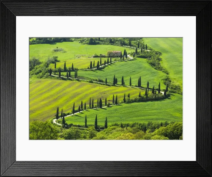 Framed Print : La foce winding road lined with Cypress trees, Val d Orcia, Tuscany, Italy Framed Print : La foce winding road lined with Cypress trees, Val d Orcia, Tuscany, Italy