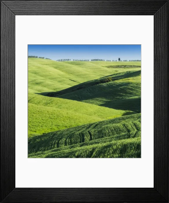 Framed Print : Rolling hills near San Quirico d Orcia, Val d Orcia, Tuscany, Italy Framed Print : Rolling hills near San Quirico d Orcia, Val d Orcia, Tuscany, Italy