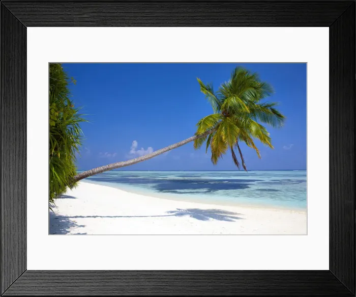 Framed Print : Meeru Island, the Maldives, Indian Ocean Framed Print : Meeru Island, the Maldives, Indian Ocean