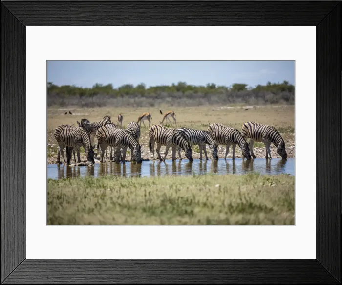 Framed Print : Elephants at a watering hole, Etosha National Park, Etosha, Namibia