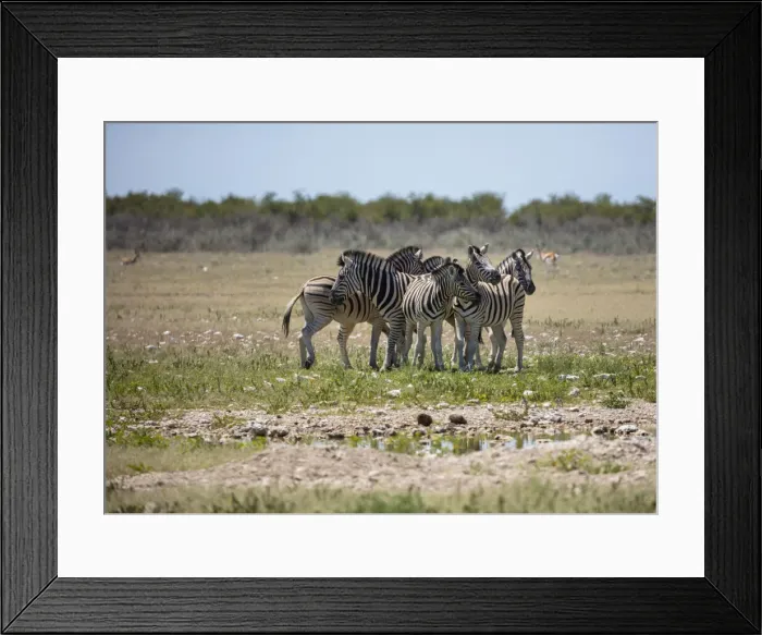 Framed Print : Elephants herd, Etosha National Park, Namibia Framed Print : Elephants herd, Etosha National Park, Namibia