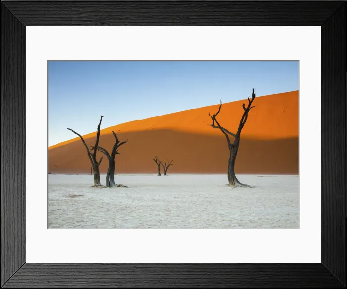 Framed Print : Camel thorn trees and dunes at Deadvlei, Sossusvlei, Namibia Framed Print : Camel thorn trees and dunes at Deadvlei, Sossusvlei, Namibia