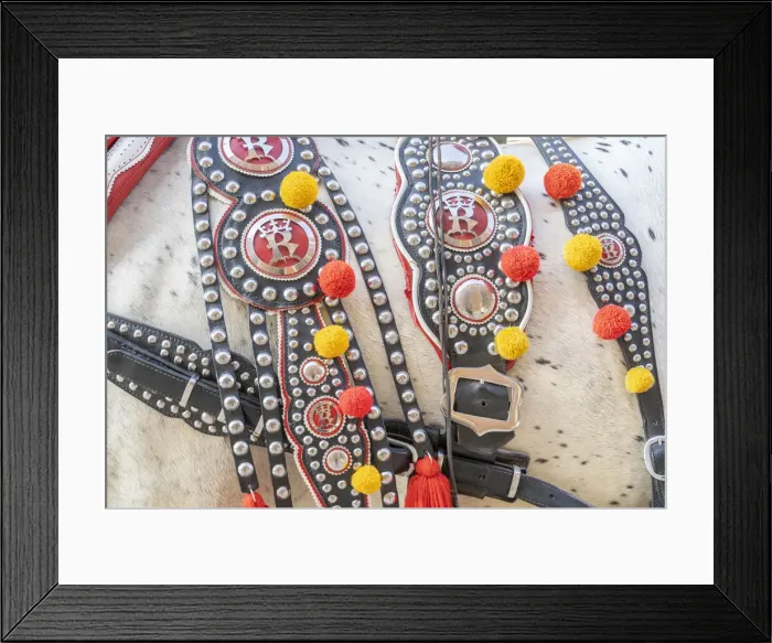Framed Print : Horse saddle detail, Krakow Old Town, Krakow, Poland, Eastern Europe Framed Print : Horse saddle detail, Krakow Old Town, Krakow, Poland, Eastern Europe