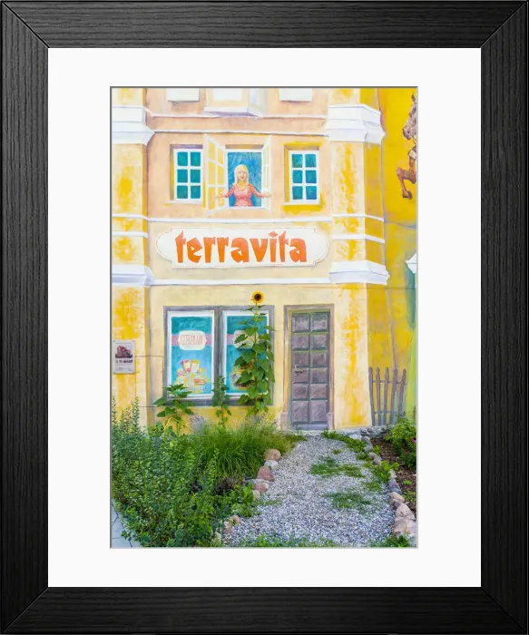 Framed Print : A Srodka Tale with Trumpeter on the Roof and Cat in the Background Mural Framed Print : A Srodka Tale with Trumpeter on the Roof and Cat in the Background Mural