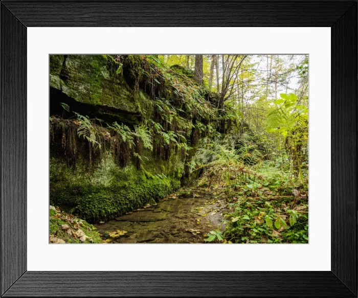 Framed Print : Krynki Nature Reserve, Swietokrzyskie Voivodeship, Poland Framed Print : Krynki Nature Reserve, Swietokrzyskie Voivodeship, Poland
