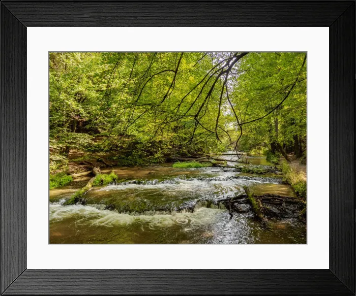 Framed Print : Cascades on the Tanew River, Szumy nad Tanwia, Tanew Nature Reserve, Roztocze