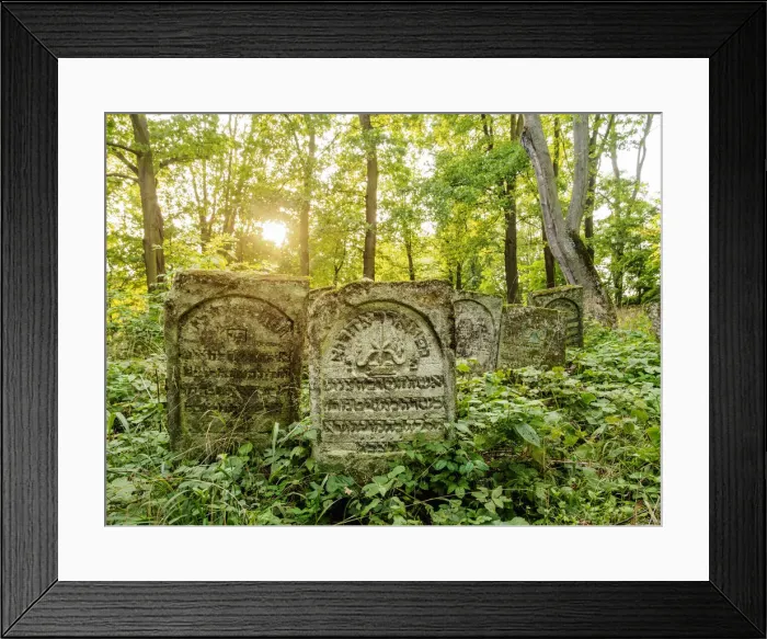 Framed Print : Old Jewish Cemetery in Szczebrzeszyn, Lublin Voivodeship, Poland Framed Print : Old Jewish Cemetery in Szczebrzeszyn, Lublin Voivodeship, Poland
