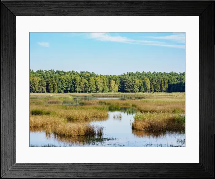 Framed Print : Echo Lake in Zwierzyniec, Roztocze, Lublin Voivodeship, Poland Framed Print : Echo Lake in Zwierzyniec, Roztocze, Lublin Voivodeship, Poland