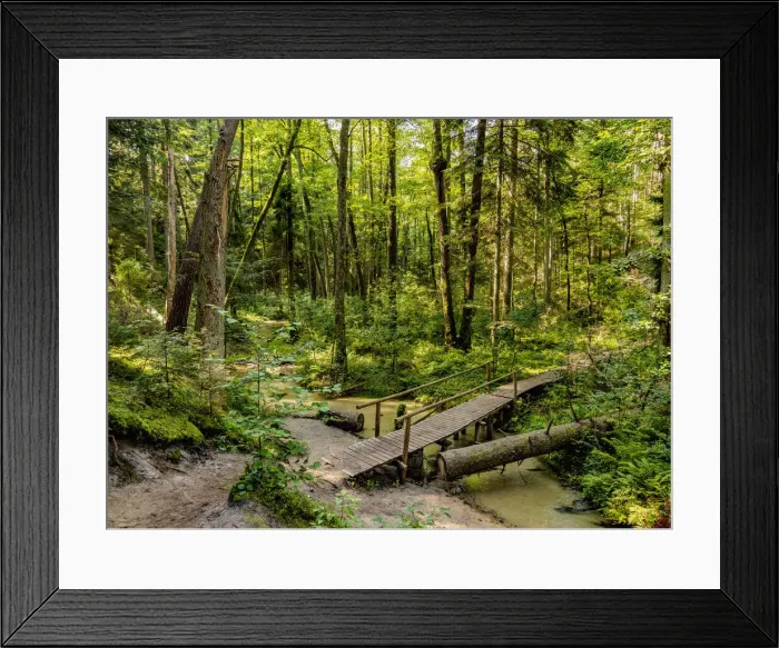 Framed Print : Trail in Tanew Nature Reserve, Roztocze, Lublin Voivodeship, Poland Framed Print : Trail in Tanew Nature Reserve, Roztocze, Lublin Voivodeship, Poland