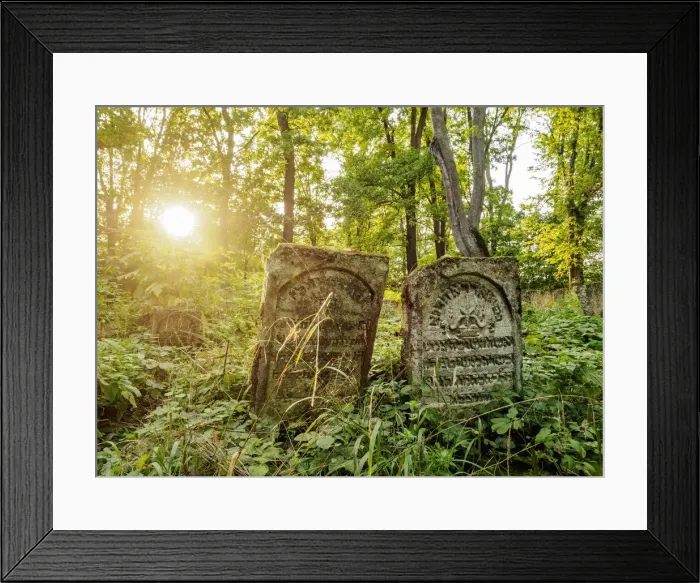 Framed Print : Old Jewish Cemetery in Szczebrzeszyn, Lublin Voivodeship, Poland Framed Print : Old Jewish Cemetery in Szczebrzeszyn, Lublin Voivodeship, Poland