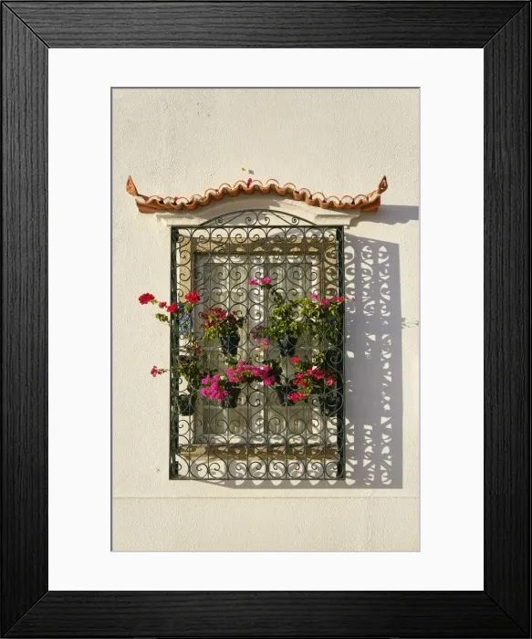 Framed Print : Windows of a traditional house. Alcochete, Portugal