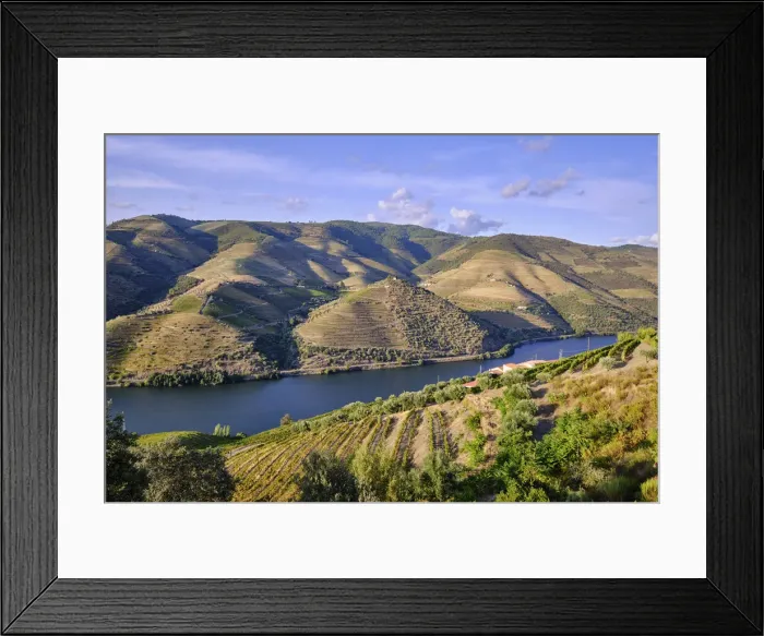 Framed Print : The Douro river and the terraced vineyards near Folgosa do Douro, Alto Douro