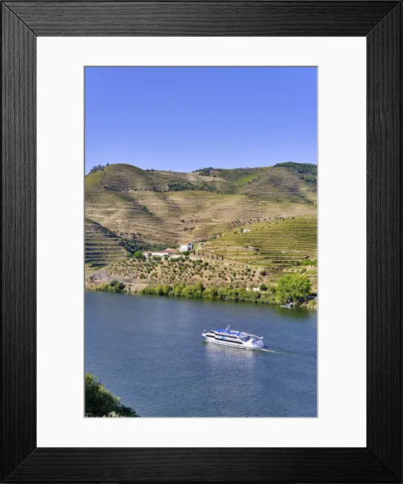 Framed Print : A Douro river cruise ship passing along the Quinta da Boavista Framed Print : A Douro river cruise ship passing along the Quinta da Boavista