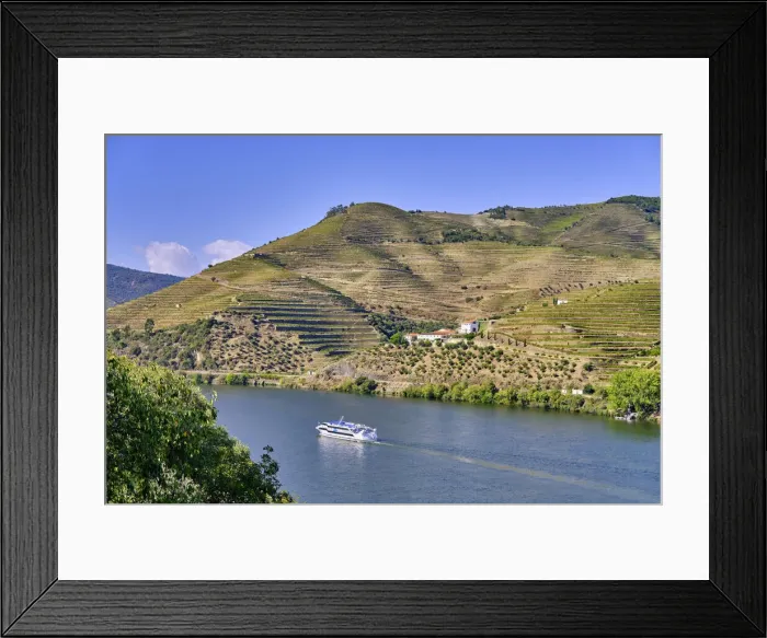 Framed Print : A Douro river cruise ship passing along the Quinta da Boavista Framed Print : A Douro river cruise ship passing along the Quinta da Boavista