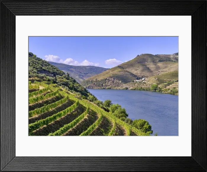 Framed Print : Terraced vineyards and the Quinta da Boavista, a wine producing farm where lived
