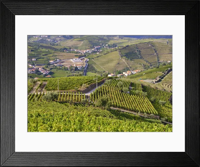 Framed Print : Terraced vineyards at Sao Joao de Lobrigos, Alto Douro, a Unesco World heritage site Framed Print : Terraced vineyards at Sao Joao de Lobrigos, Alto Douro, a Unesco World heritage site