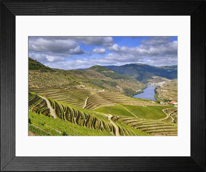 Framed Print : The terraced vineyards of Quinta de Ventozelo and the river Douro at Ervedosa do Douro Framed Print : The terraced vineyards of Quinta de Ventozelo and the river Douro at Ervedosa do Douro