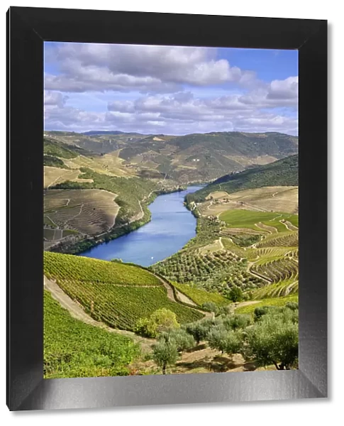 The terraced vineyards of Quinta de Ventozelo and the river Douro at Ervedosa do Douro