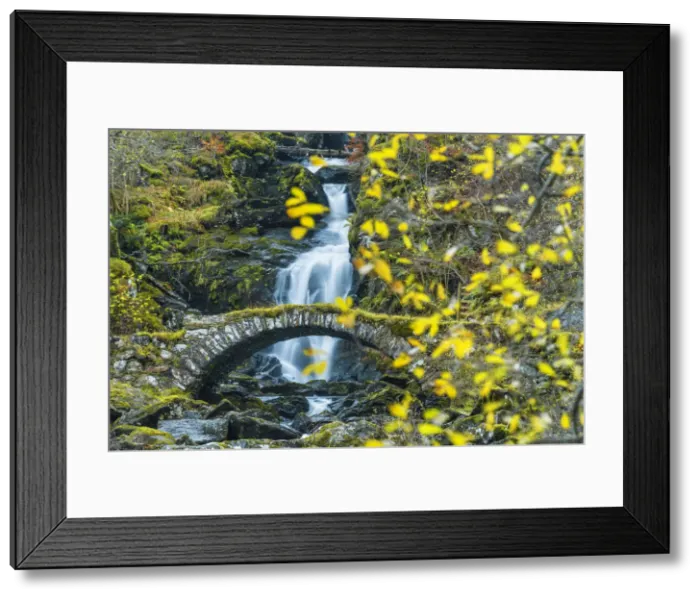 Framed Print : Packhorse Bridge & Waterfall in Autumn, Glen Lyon, Perth & Kinross, Scotland Framed Print : Packhorse Bridge & Waterfall in Autumn, Glen Lyon, Perth & Kinross, Scotland