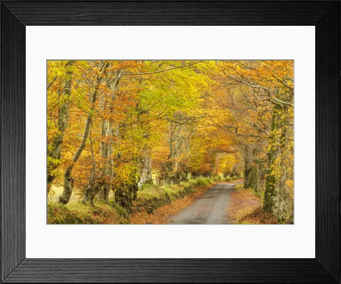 Framed Print : Country Lane in Autumn, Glen Lyon, Perth & Kinross, Scotland Framed Print : Country Lane in Autumn, Glen Lyon, Perth & Kinross, Scotland