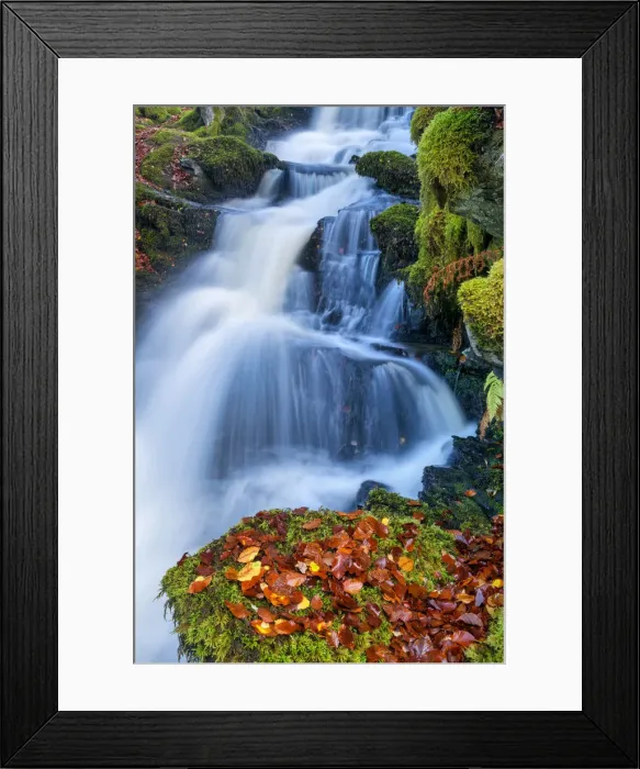 Framed Print : Cascading Waterfall in Autumn, Birks of Aberfeldy, Perth & Kinross, Scotland Framed Print : Cascading Waterfall in Autumn, Birks of Aberfeldy, Perth & Kinross, Scotland