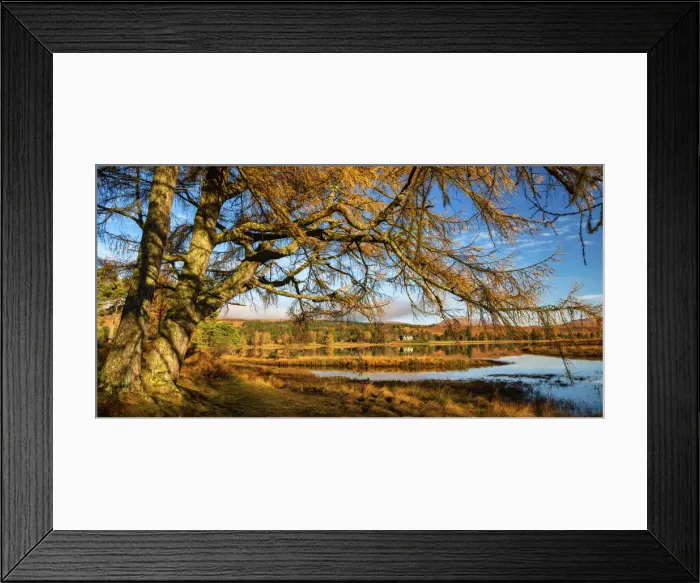 Framed Print : Loch Tulla in Autumn, Argyll & Bute, Scotland Framed Print : Loch Tulla in Autumn, Argyll & Bute, Scotland