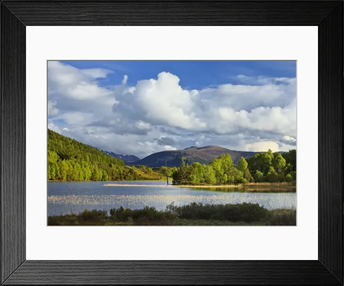 Framed Print : Loch Pityoulish, Rothiemurchus Estate, Aviemore, Scotland Framed Print : Loch Pityoulish, Rothiemurchus Estate, Aviemore, Scotland