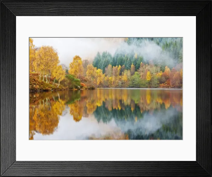 Framed Print : Autumn Colour on the edge of Loch Faskally, Pitlochry, Scotland