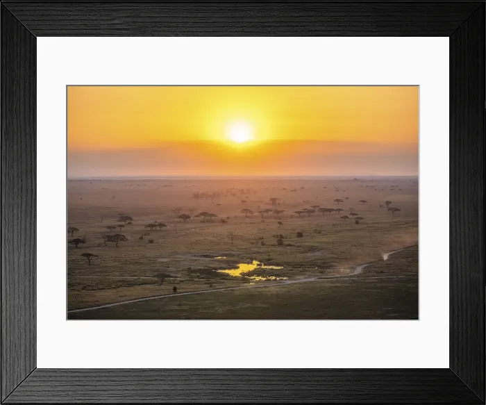 Framed Print : Serengeti landscape at sunrise, Serengeti National Park, Tanzania Framed Print : Serengeti landscape at sunrise, Serengeti National Park, Tanzania