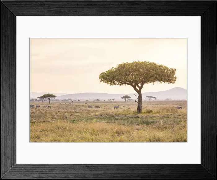 Framed Print : Serengeti landscape, Serengeti National Park, Tanzania Framed Print : Serengeti landscape, Serengeti National Park, Tanzania
