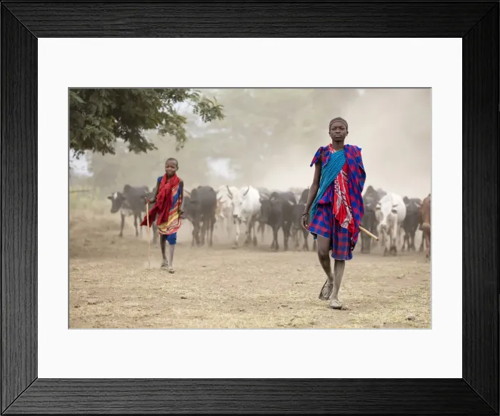 Framed Print : Masaai boys with cattle, Arusha, Tanzania Framed Print : Masaai boys with cattle, Arusha, Tanzania