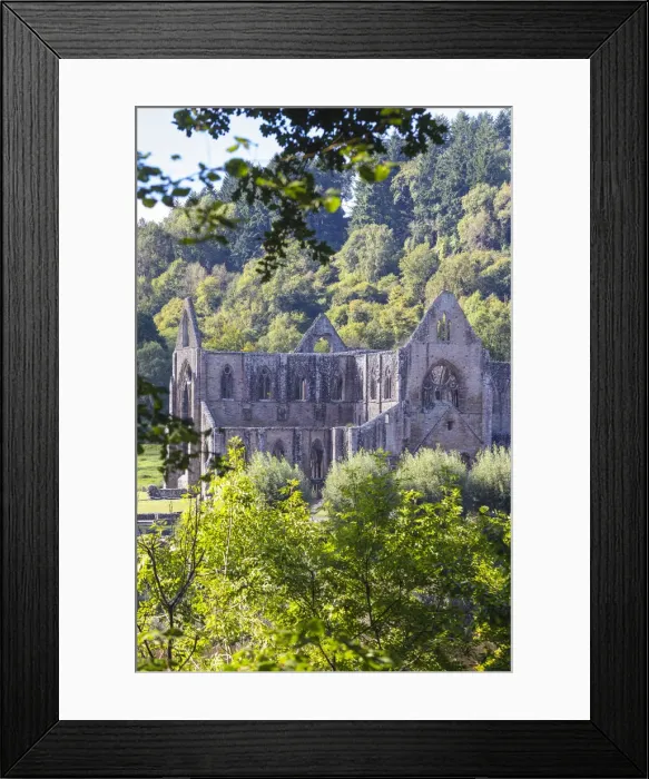 Framed Print : UK, Wales, Monmouthshire, Wye Valley, Tintern, Tintern Abbey Framed Print : UK, Wales, Monmouthshire, Wye Valley, Tintern, Tintern Abbey