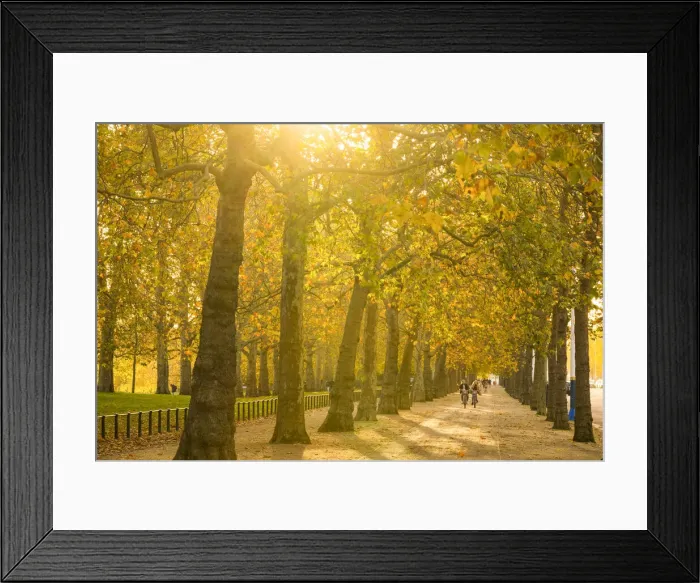 Framed Print : St Jamess Park, London, England, UK Framed Print : St Jamess Park, London, England, UK
