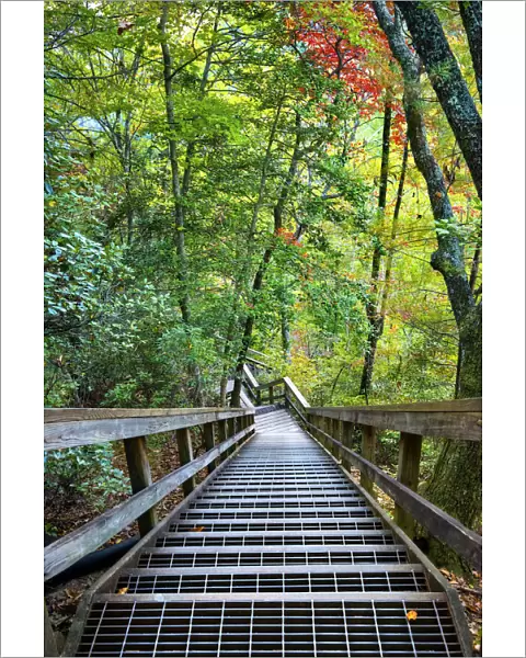 USA, Georgia, Tallulah Gorge State Park, Stairway Down To Tallulah River
