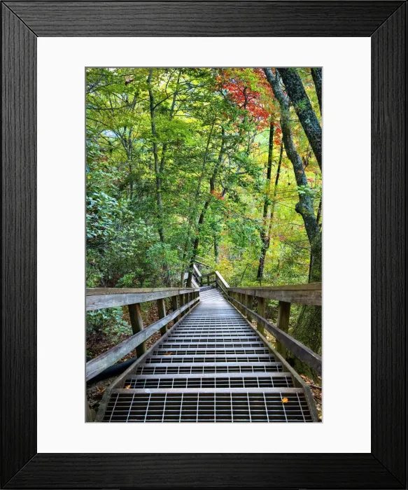 Framed Print : USA, Georgia, Tallulah Gorge State Park, Stairway Down To Tallulah River Framed Print : USA, Georgia, Tallulah Gorge State Park, Stairway Down To Tallulah River