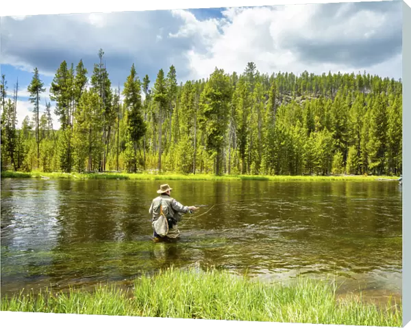 Fly fishing, Yellowstone National Park, USA